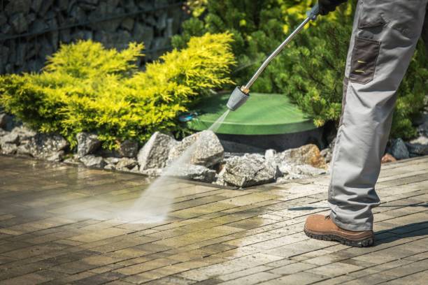 Animal Enclosure Cleaning in Carleton, MI